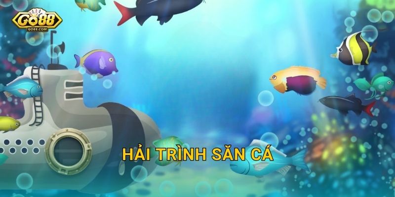 Hải Trình Săn Cá Go88 SH – Dong Thuyền Ra Khơi Chinh Phục Muôn Loài Cá Quý