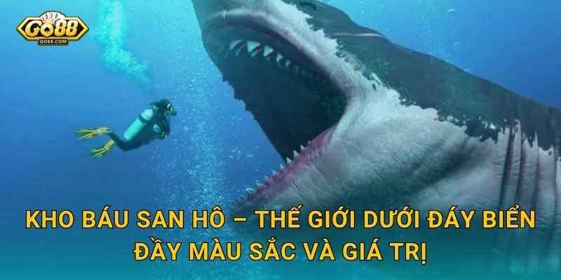 Kho Báu San Hô – Thế Giới Dưới Đáy Biển Đầy Màu Sắc Và Giá Trị