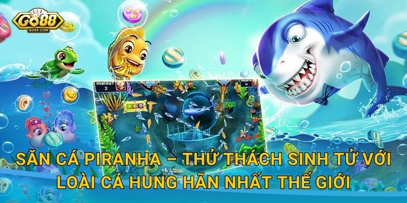 Săn Cá Piranha – Thử Thách Sinh Tử Với Loài Cá Hung Hãn Nhất Thế Giới