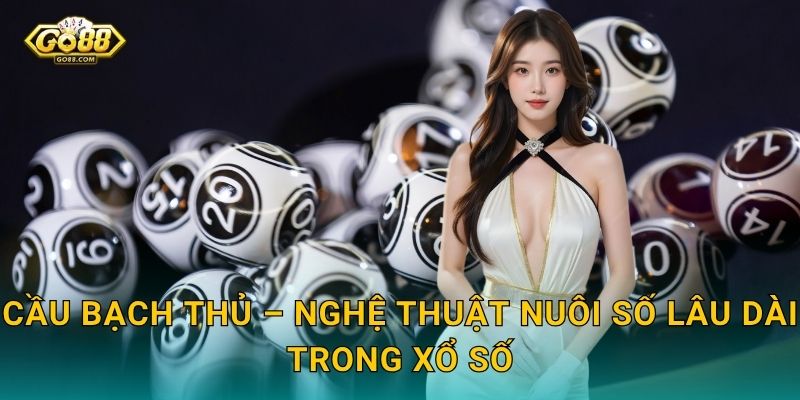 Cầu Bạch Thủ – Nghệ Thuật Nuôi Số Lâu Dài Trong Xổ Số