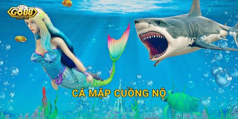Cá Mập Cuồng Nộ Go88 SH – Đối Mặt Hung Thần Biển Cả Và Thắng Lớn