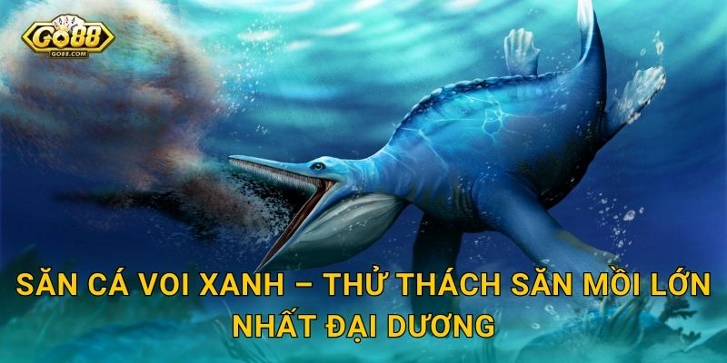Săn Cá Voi Xanh – Thử Thách Săn Mồi Lớn Nhất Đại Dương
